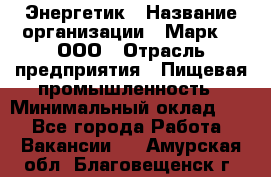 Энергетик › Название организации ­ Марк 4, ООО › Отрасль предприятия ­ Пищевая промышленность › Минимальный оклад ­ 1 - Все города Работа » Вакансии   . Амурская обл.,Благовещенск г.